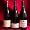 Vins rouges de la Côte Chalonnaise